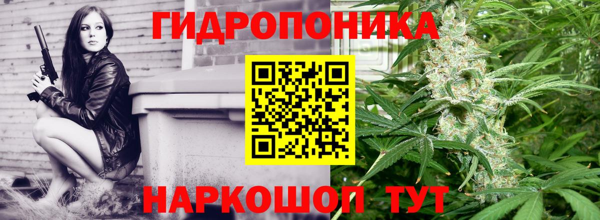 Бошки марихуана White Widow Гурьевск